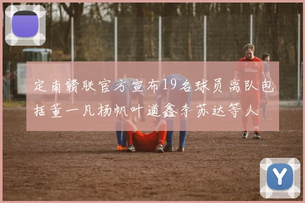 定南赣联官方宣布19名球员离队包括董一凡杨帆叶道鑫李苏达等人