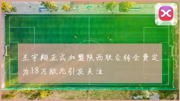 王宇翔正式加盟陕西联合转会费定为18万欧元引发关注