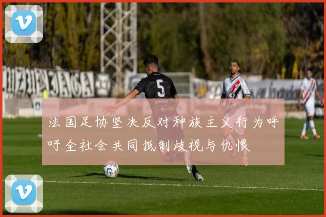 法国足协坚决反对种族主义行为呼吁全社会共同抵制歧视与仇恨